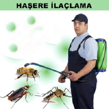 Sur Böcek İlaçlama